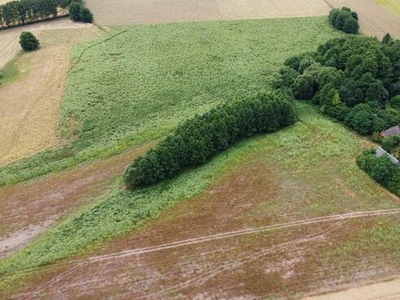 Grunt 8,5ha z wydzielonymi działkami