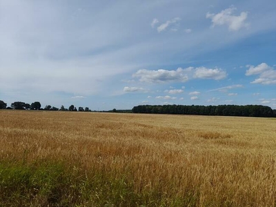 Sprzedam działkę inwestycyjną w miejscowości Wojska