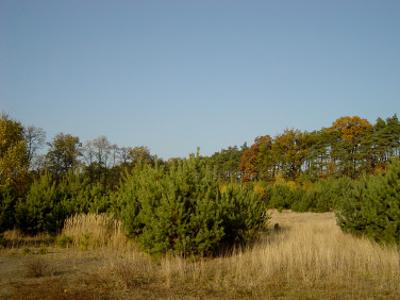 Działka rolno-budowlana Grabieniec