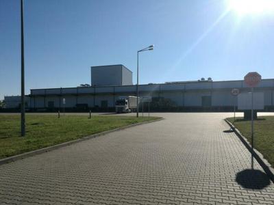 Magazyny chłodzone: 452 m² oraz 289 m² - Suchodoły k/Piask