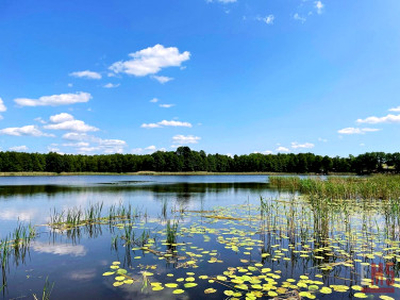 Działka inwestycyjna Sztynort