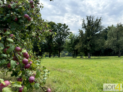 Działka rolno-budowlana Buchcice