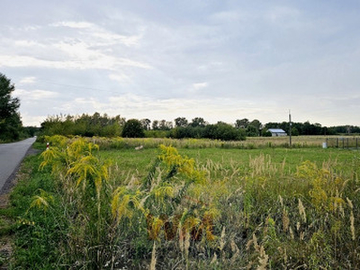 Działka budowlana Grójec