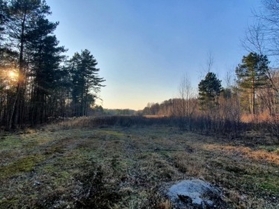 Działka budowlana, ul. Altany