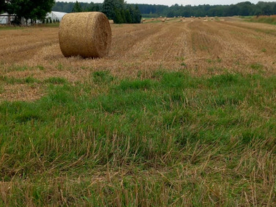 Działka budowlana, ul. Renka