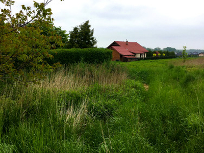 Działka budowlana, ul. Żurawia