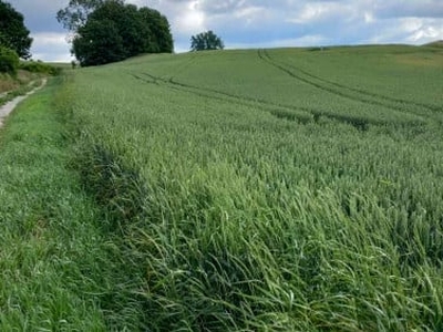 Działka budowlana Świdnica