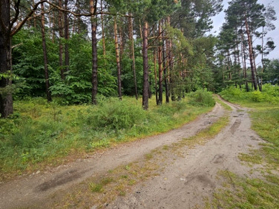 Działka budowlana Wisełka