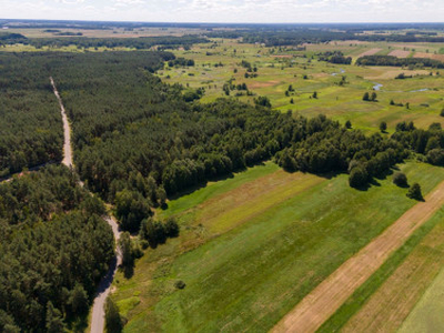 Działka leśna Ossolin