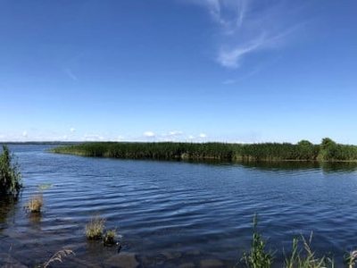 Działka rolna Czarna Łąka