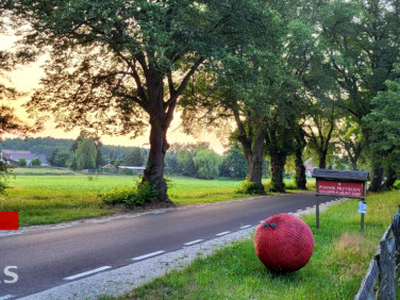 Działka rolna Jabłonka Stara