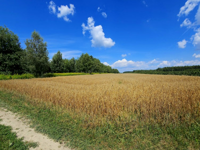 Działka rolna Karczmiska Drugie