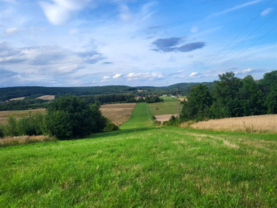 Działka rolna Ociesęki