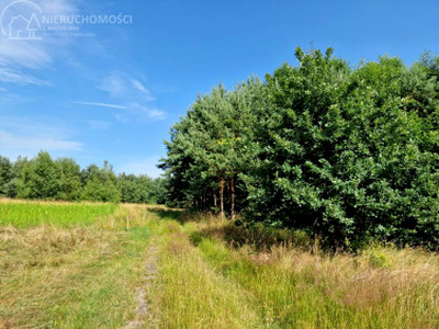 Działka rolna Zaborów