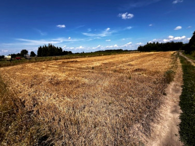 Działka rolno-budowlana Kosina