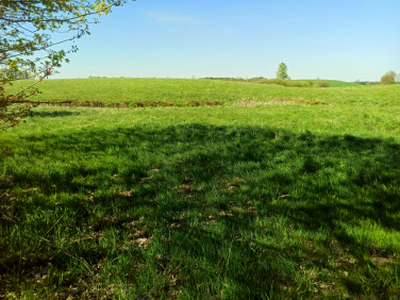 Działka rolno-budowlana Liwa