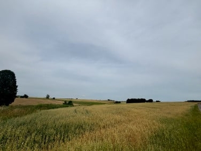 Działka rolno-budowlana Ubocze