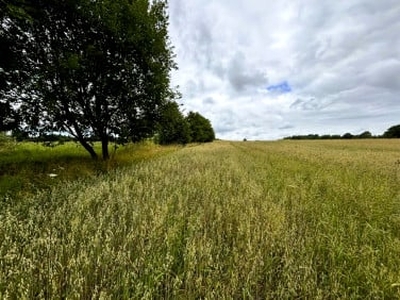 Działka siedliskowa, ul. Gdańska