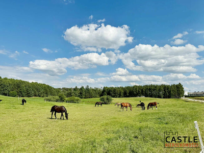 Piękna działka-cisza! Natura wokół Ciebie! Jezioro