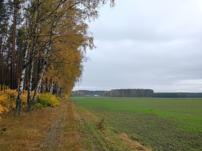 ziemia rolna 5 hektarów Podlesie gm. Oborniki OD WŁAŚCICIELA