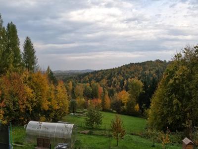 małopolskie, bocheński, Trzciana, Kamionna