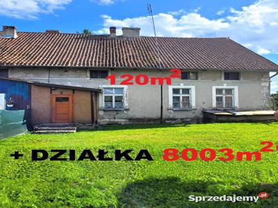 Pół bliźniaka 120m2 + duża działka 8000m2