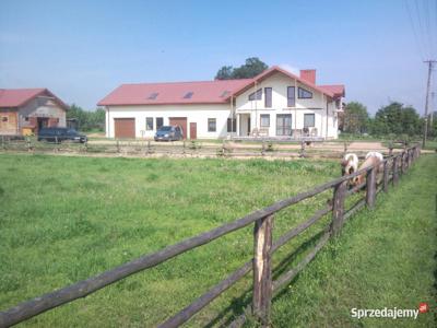 Siedlisko z warsztatem i drewniana stajnia w malowniczej Do…