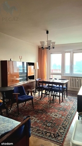 Mini apartament z najemcą