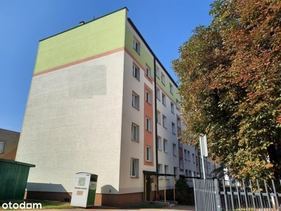 2 pokoje*35,90 m2* Skorupy*cegła* Do wprowadzenia*