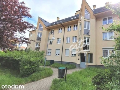 Odrestaurowane 110m2/blisko centrum/balkon/piwnica