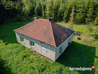 Oferta sprzedaży domu 100m2 Niewodna