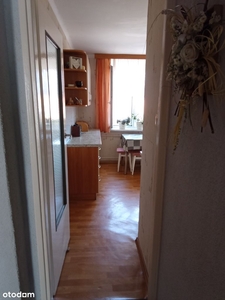 50m² spokoju i komfortu + miejsce postojowe