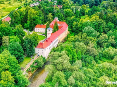 Sprzedam Hotel Zamek na skale