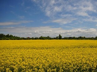 Działka inwestycyjna Kładno gm. Będzino Pleśna