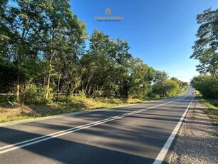 Działka rolna Nowe Miasto nad Pilicą Pobiedna