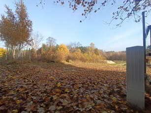 Leśniewo k. Pucka - Szkoła 500m, Sklep 750m