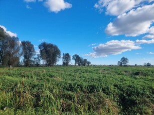 Ziemia rolna 3.2 ha Rokitnica