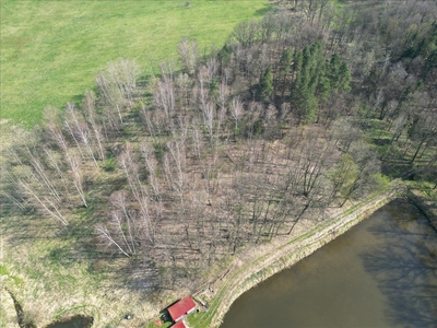 Działka na sprzedaż, Jeleniogórski, Barcinek