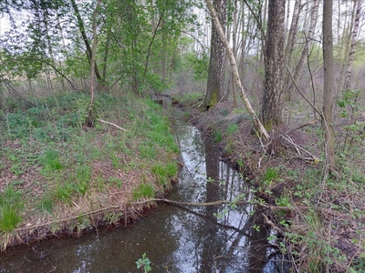 Działka na sprzedaż, Milicki, Łąki