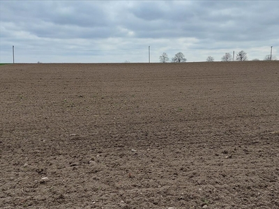 Działka na sprzedaż, Toruński, Brzeźno