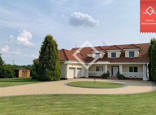 1,3 hektary działki | GolfHouse | Postołowo