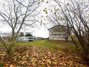 Połęczyno siedlisko 0,6 ha na sprzedaż.