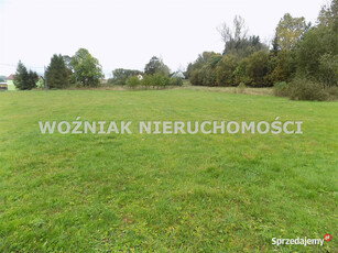 Działka 6000m2 Bartnica