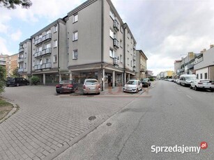 Lokal Siedlce 11-go Listopada 250m2