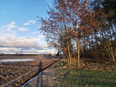 Działka na sprzedaż, Chojnicki, Malachin