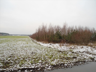 Działka na sprzedaż, Chojnicki, Jonki