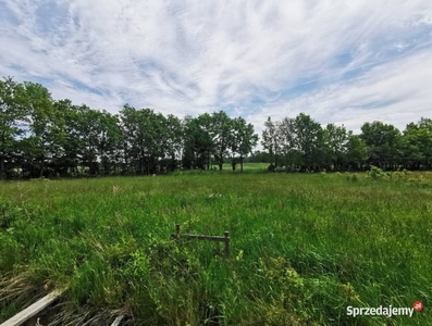 Sprzedam działkę 4500m2 plus 3ha ziemi