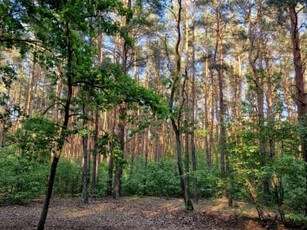 Działka budowlana Milanówek