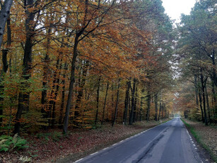 Działka budowlana, ul. Brzozowa