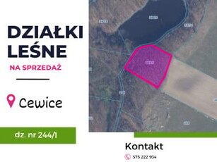 Działka leśna Cewice